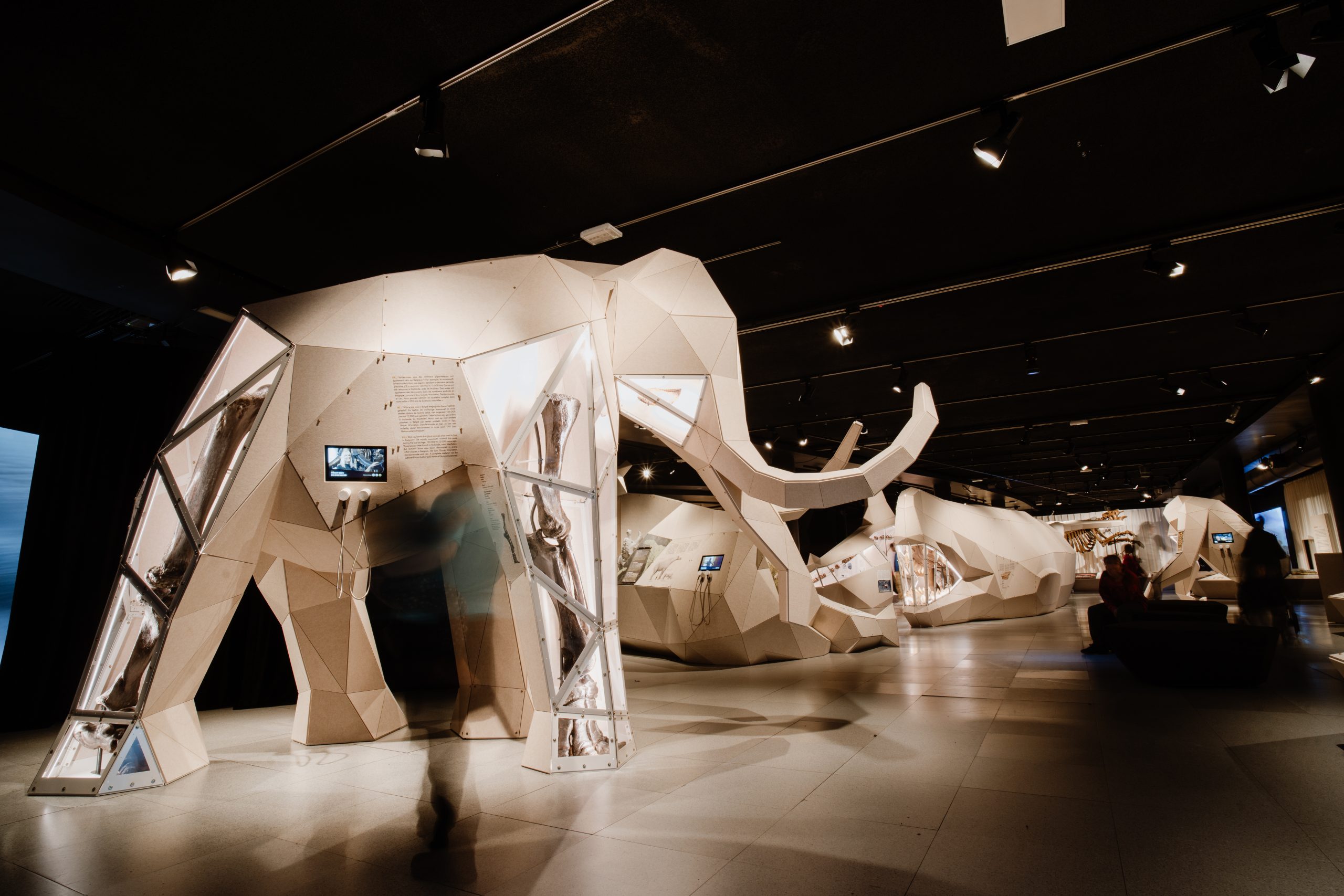 Birmingham hosts UK debut of immersive Giants exhibition and kids get in free